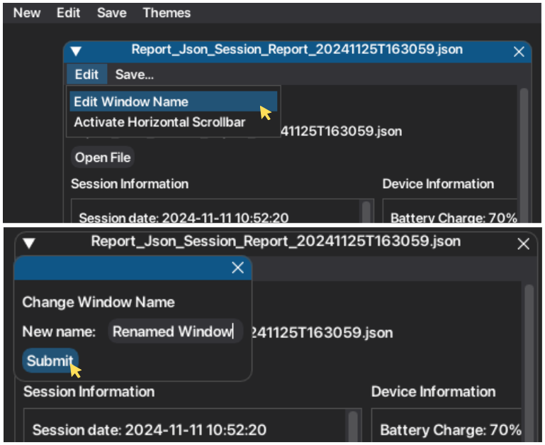 ../_images/window_name.png