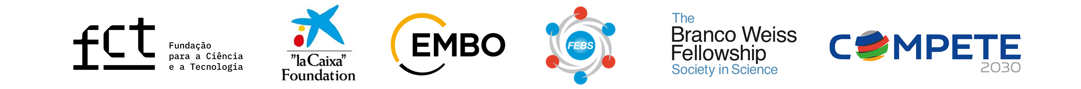 Neurophysiology and Neuroengineering Lab Funding